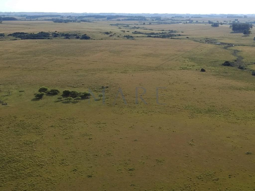 39 hectares of land in Garzón - Photo 6