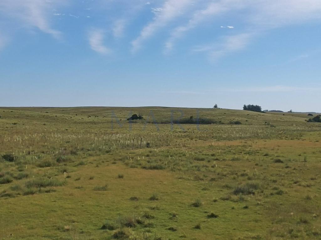 39 hectares of land in Garzón