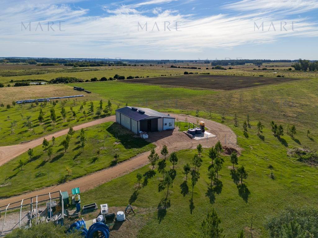 Spectacular Estate in Sierra de las Ánimas - Photo 38