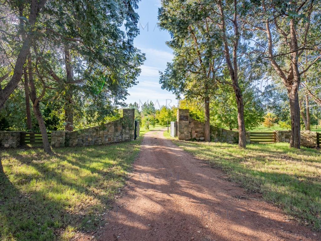 Spectacular Estate in Sierra de las Ánimas - Photo 36