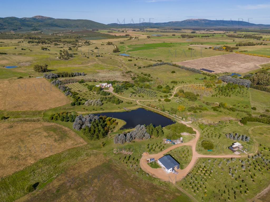 Spectacular Estate in Sierra de las Ánimas - Photo 4
