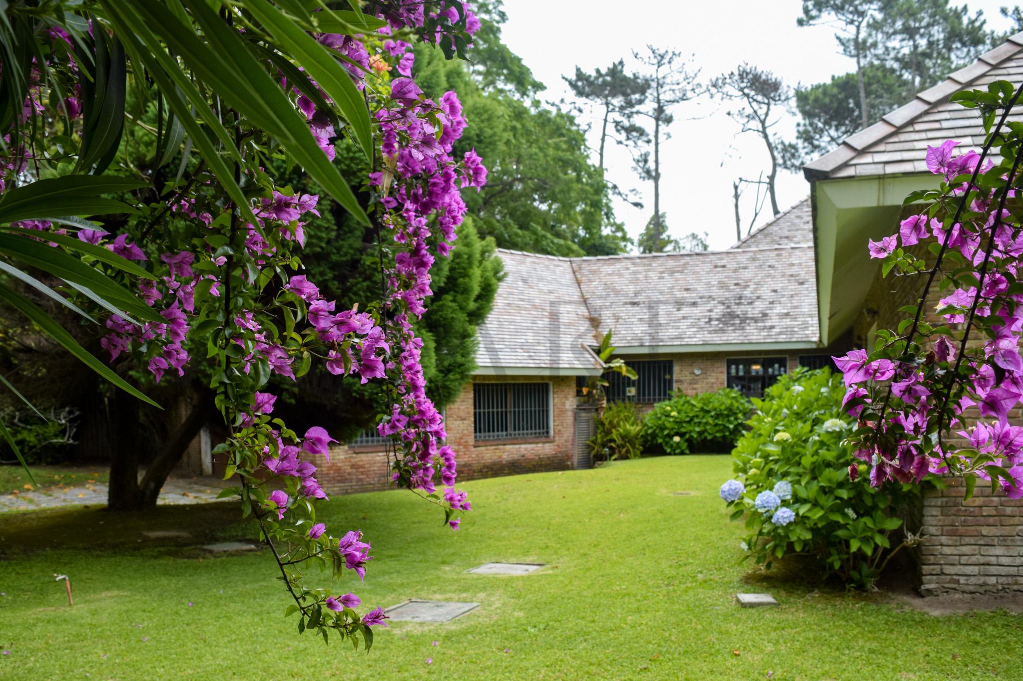 Charming and traditional chalet in El Golf, steps from Playa Brava, Punta del Este. - Photo 2