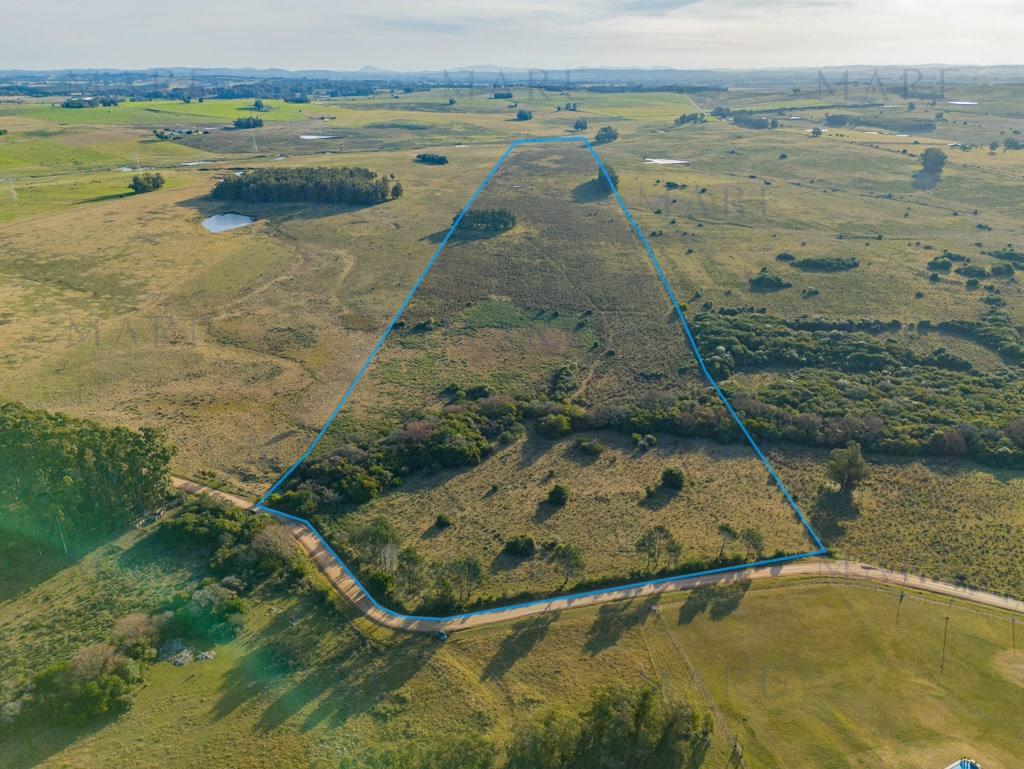 Field of 27.6 hectares in Camino Medellín, José Ignacio.