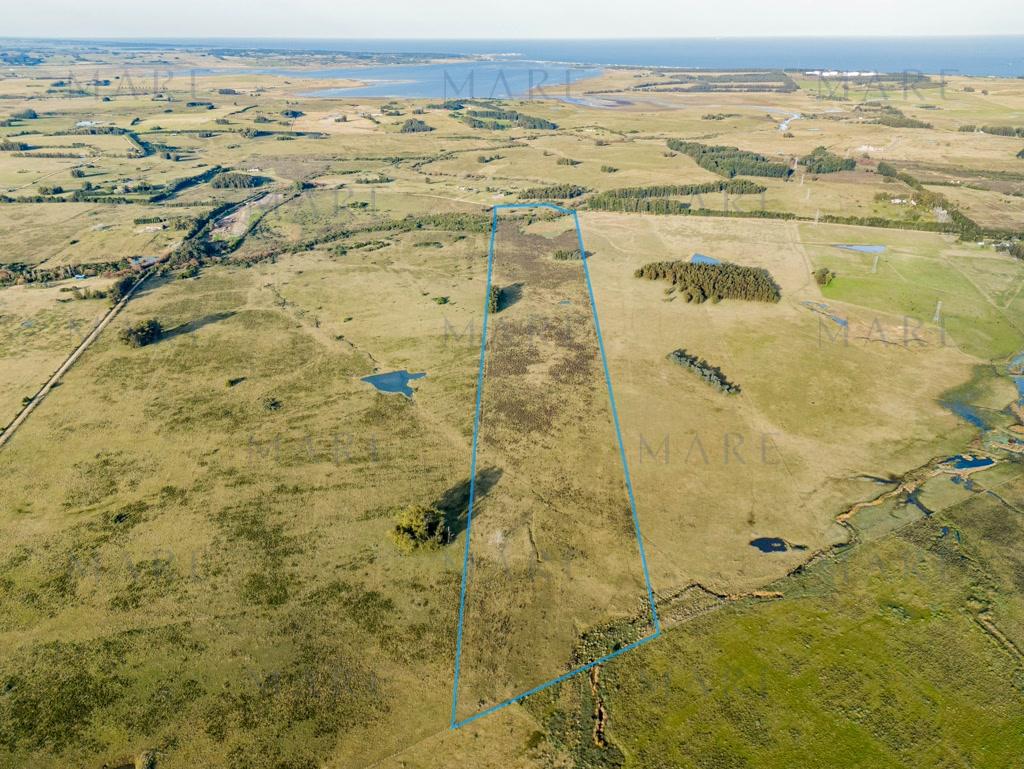 Campo de 27.6 has en Camino Medellín, José Ignacio. - Foto 4