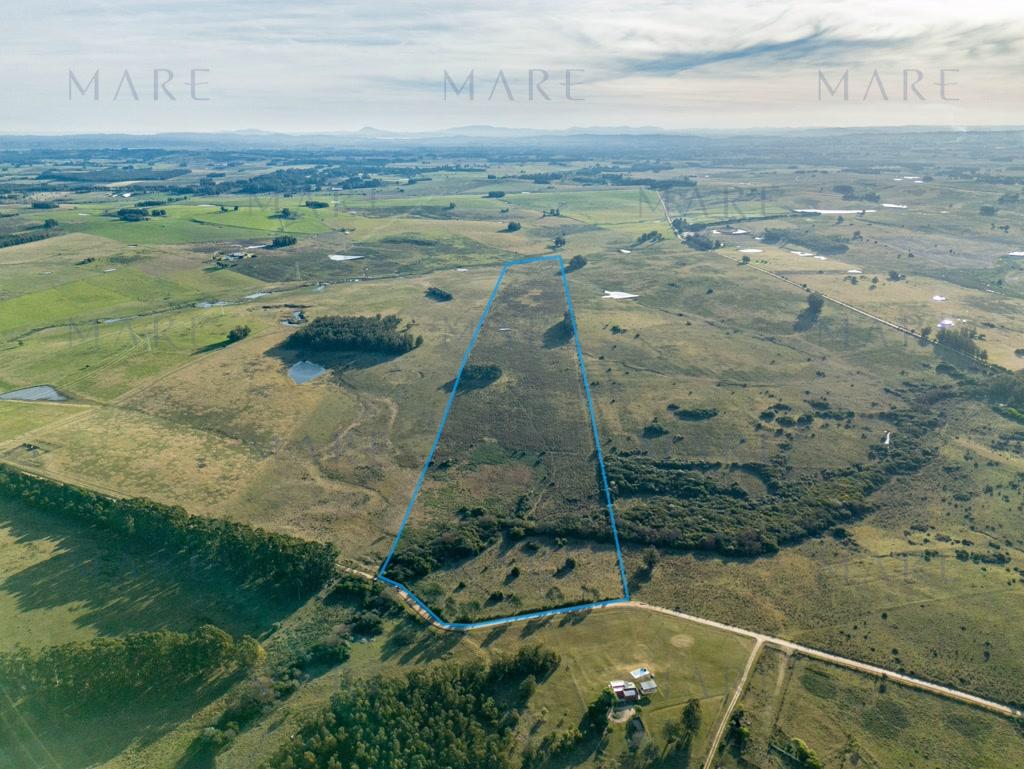 Campo de 27.6 has en Camino Medellín, José Ignacio. - Foto 3