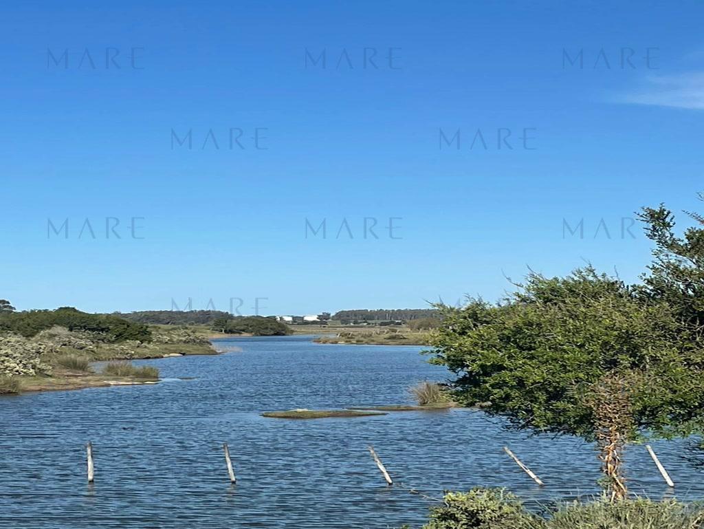 8.3 hectare field near Camino Medellin in José Ignacio.