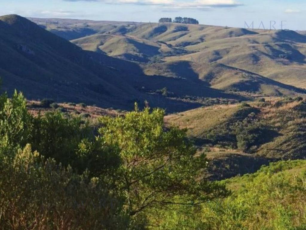 Campo de 1500 has. en Isla Patrulla, Treinta y Tres. - Foto 4