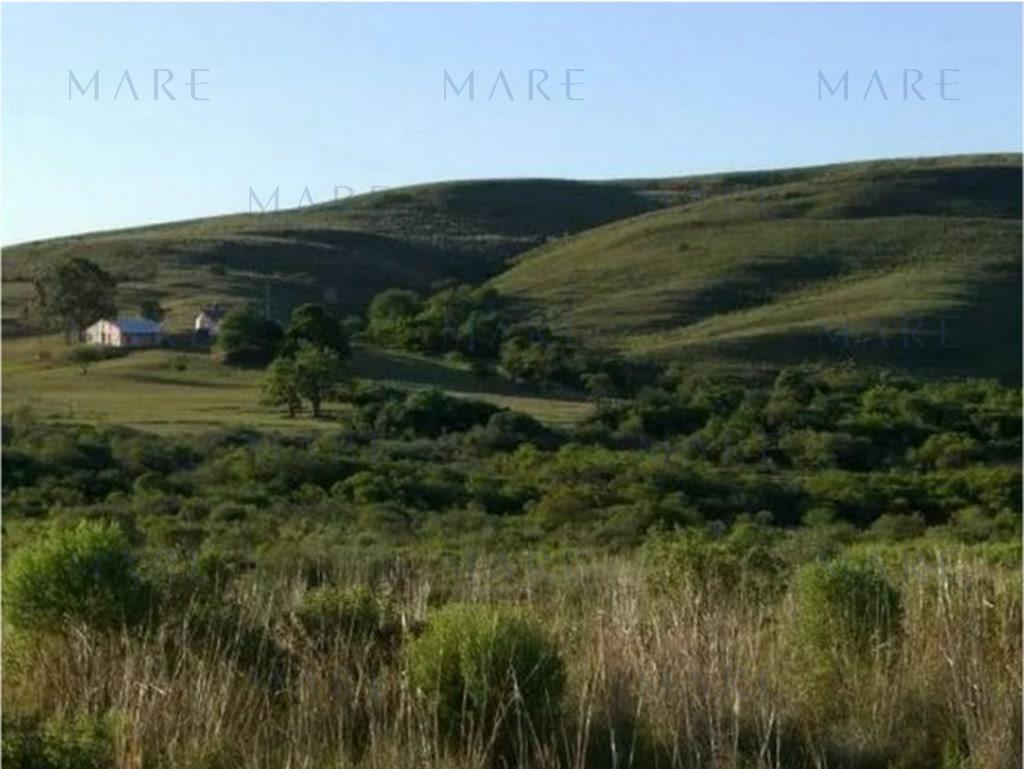 Campo de 1500 has. en Isla Patrulla, Treinta y Tres. - Foto 19