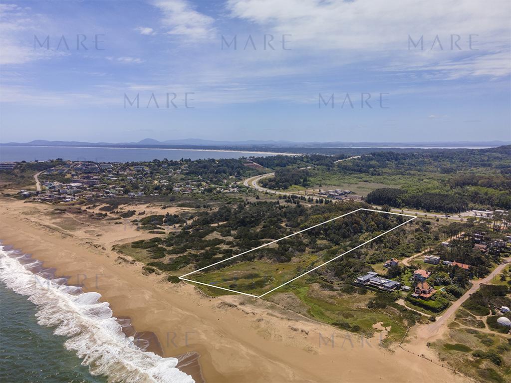 Land in Punta Ballena