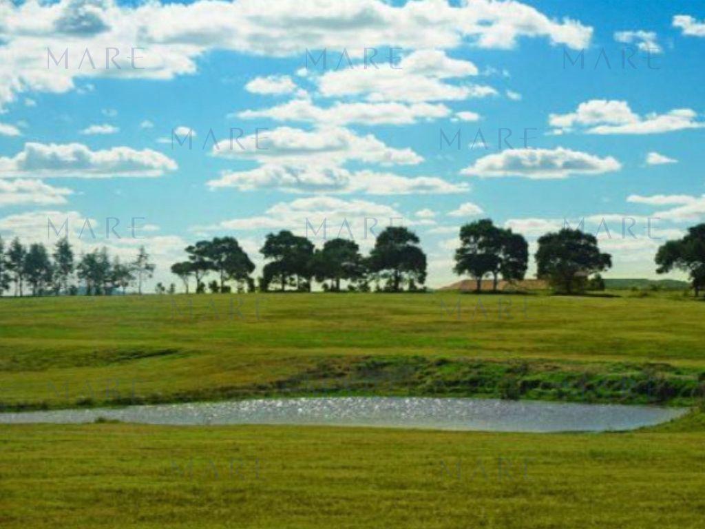 Terreno en barrio cerrado "Laguna de Los Cisnes" - Foto 2