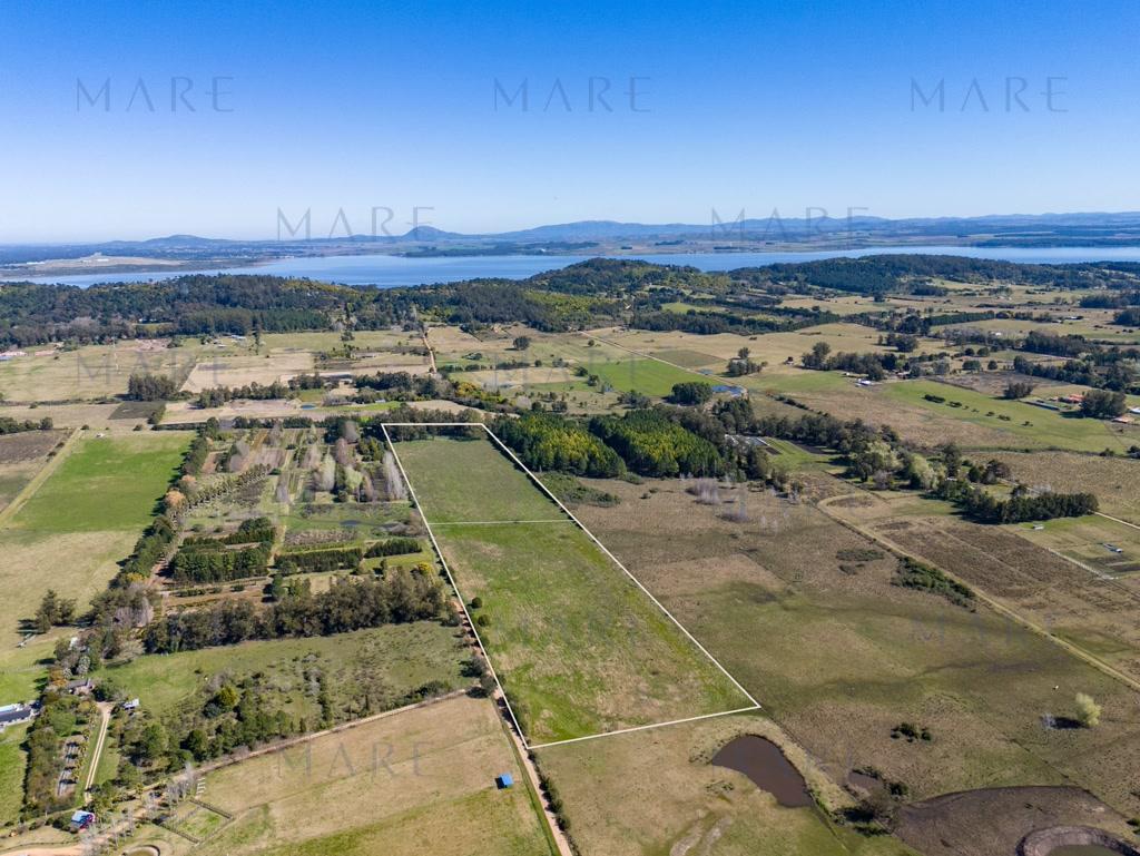 8.8 Hectares near La Pataia and Laguna del Sauce - Photo 3