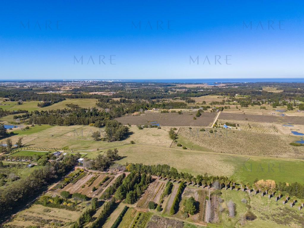 8.8 Hectares near La Pataia and Laguna del Sauce - Photo 6