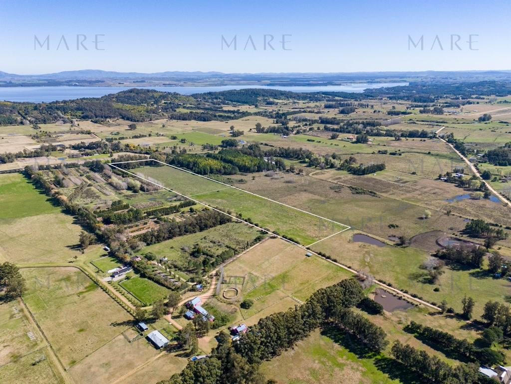 8.8 Hectares near La Pataia and Laguna del Sauce - Photo 4