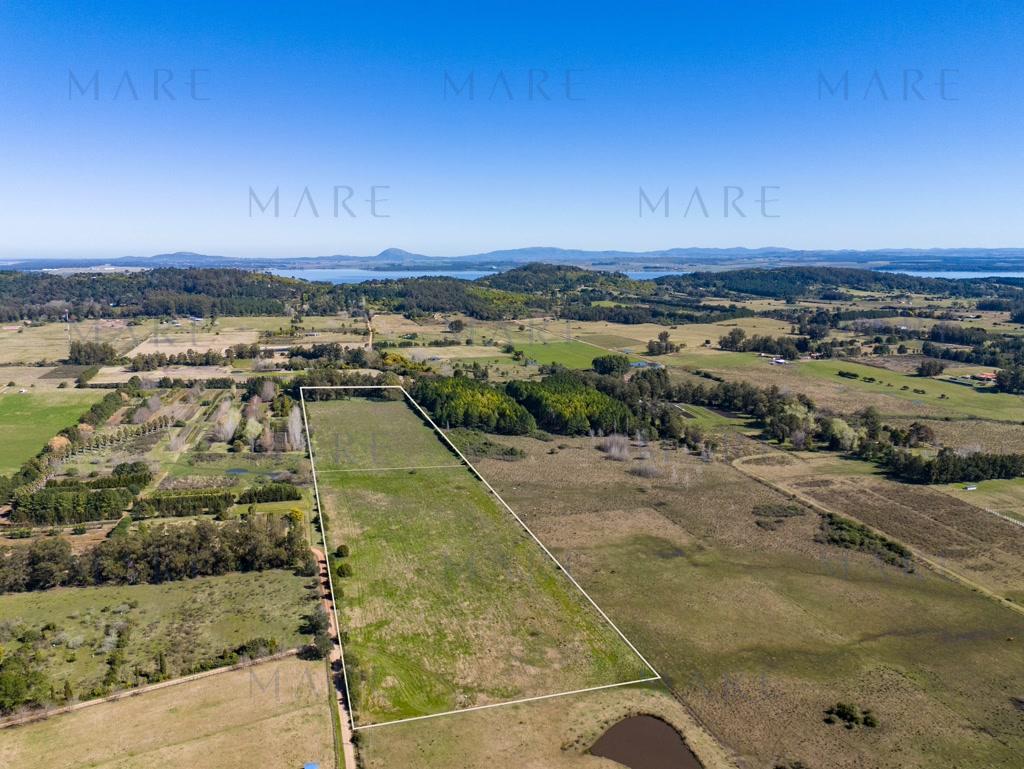 8.8 Hectares near La Pataia and Laguna del Sauce - Photo 2
