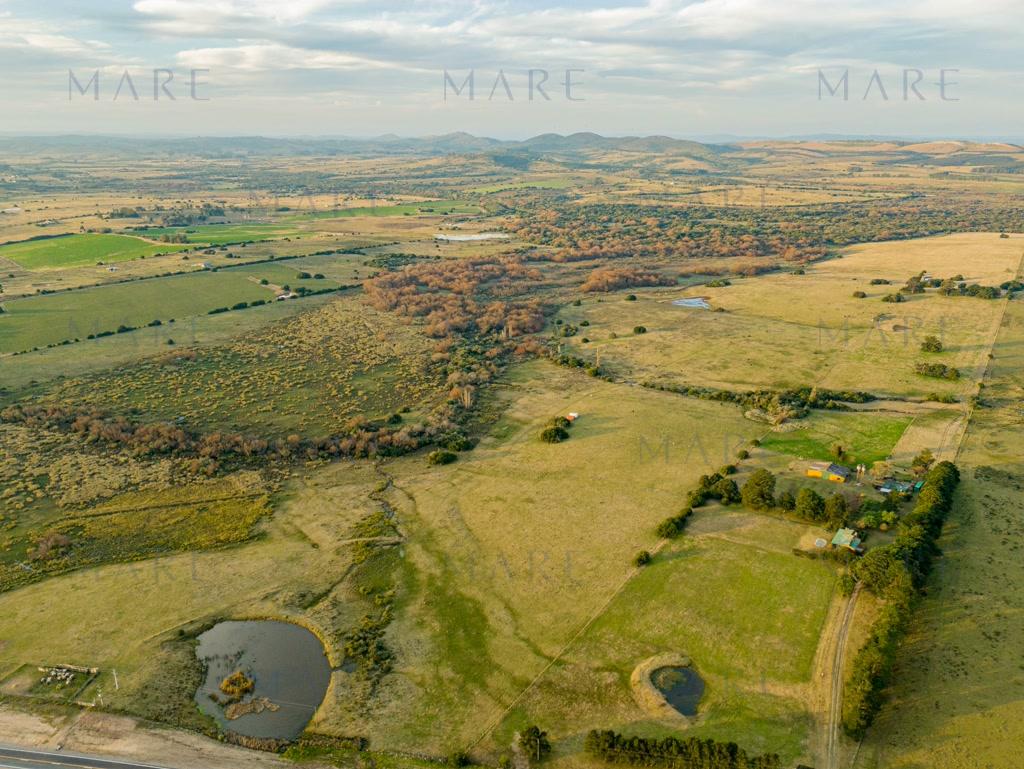 89-hectare field on Route 12, Pueblo Edén. - Photo 4