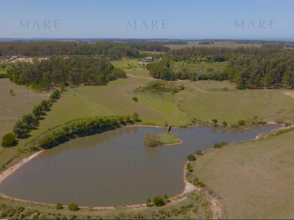 Luxury country estate in an exceptional setting. - Photo 8