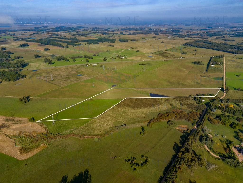 11-hectare plot of land on Route 104. - Photo 3