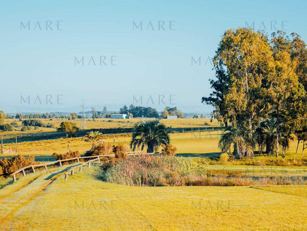 Farms in La Morenita Private Neighborhood, José Ignacio.