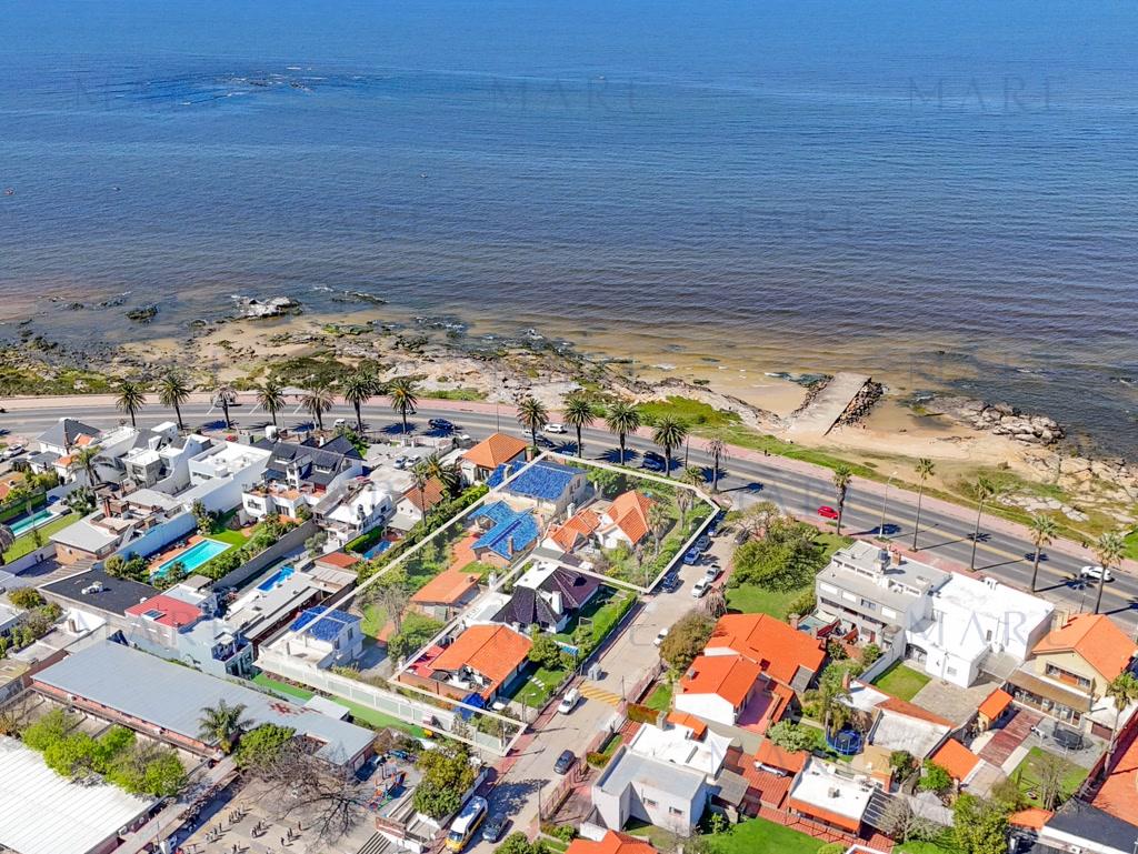 Terreno para desarrollo sobre la Rambla de Punta Gorda, Montevideo. - Foto 6