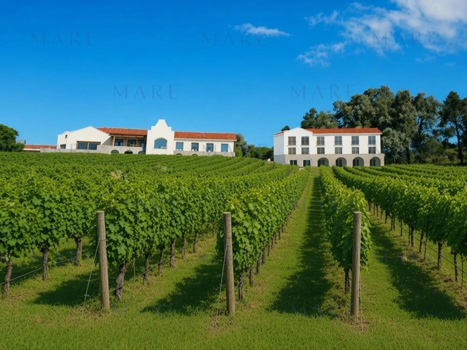 Luxury Property with Panoramic Views - Sierra de la Ballena