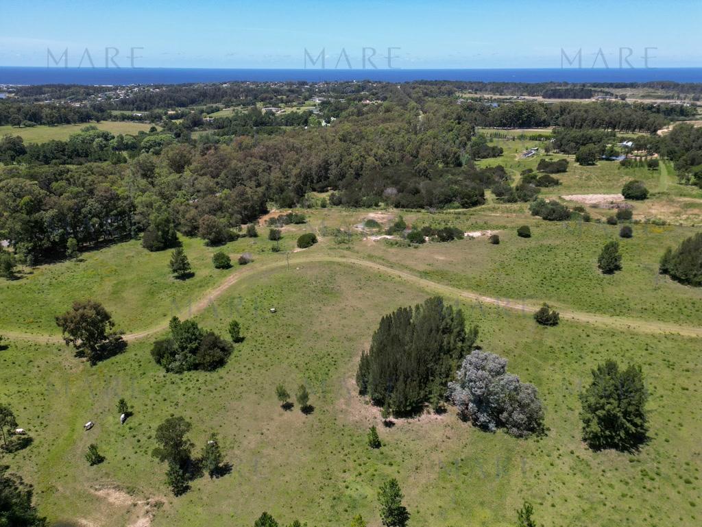 Investment: Farm with Plots on Route 104 - La Barra - Photo 4
