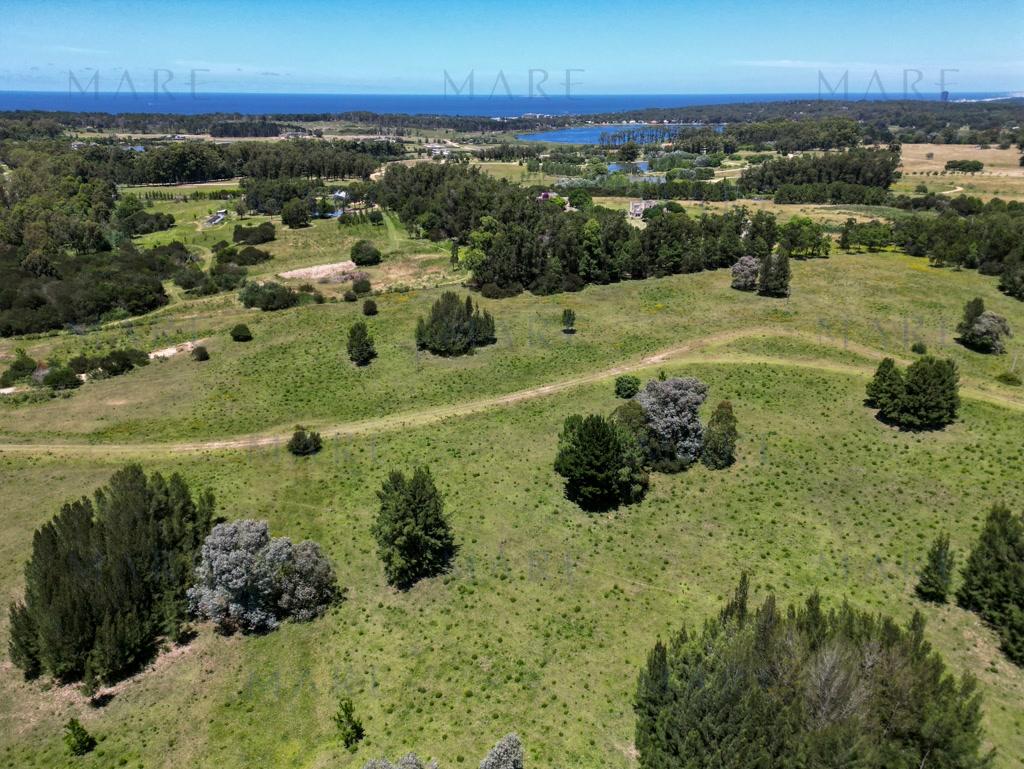 Investment: Farm with Plots on Route 104 - La Barra - Photo 5