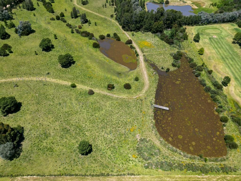 Investment: Farm with Plots on Route 104 - La Barra - Photo 8