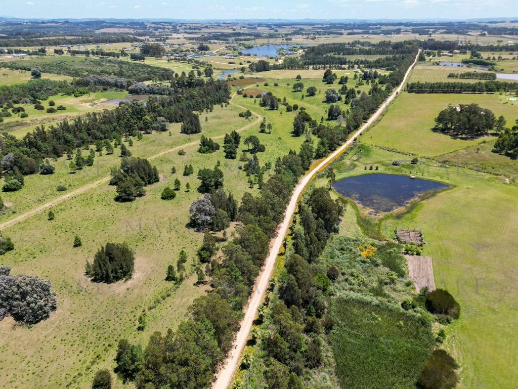 Investment: Farm with Plots on Route 104 - La Barra - Photo 6
