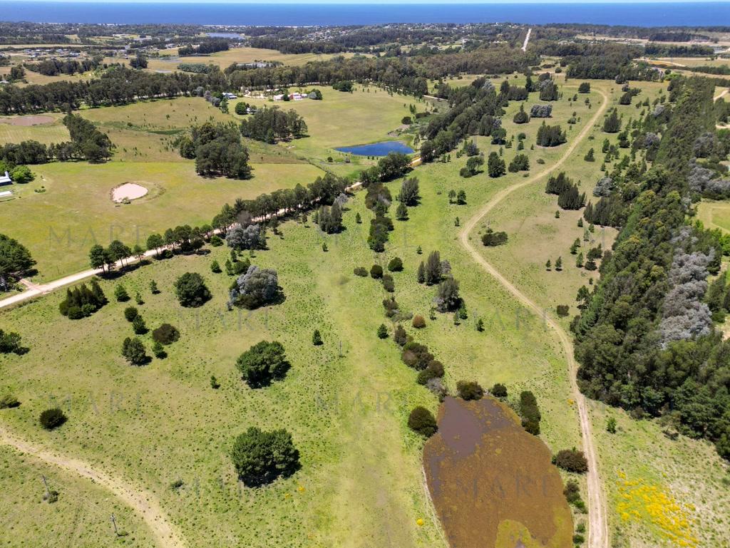 Investment: Farm with Plots on Route 104 - La Barra - Photo 7