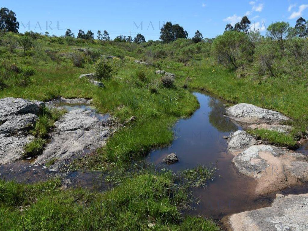 Chacra de 5 has. en Pueblo Edén. - Foto 3