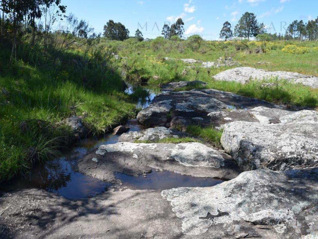 5 hectare farm in Pueblo Edén.