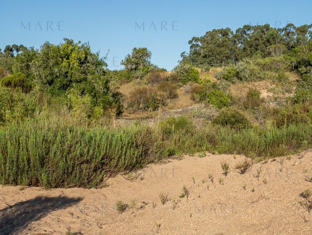 Farm with stream and open view, minutes from Pueblo Garzón - Photo 10