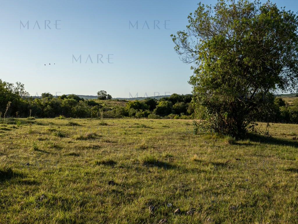 Farm with stream and open view, minutes from Pueblo Garzón - Photo 17