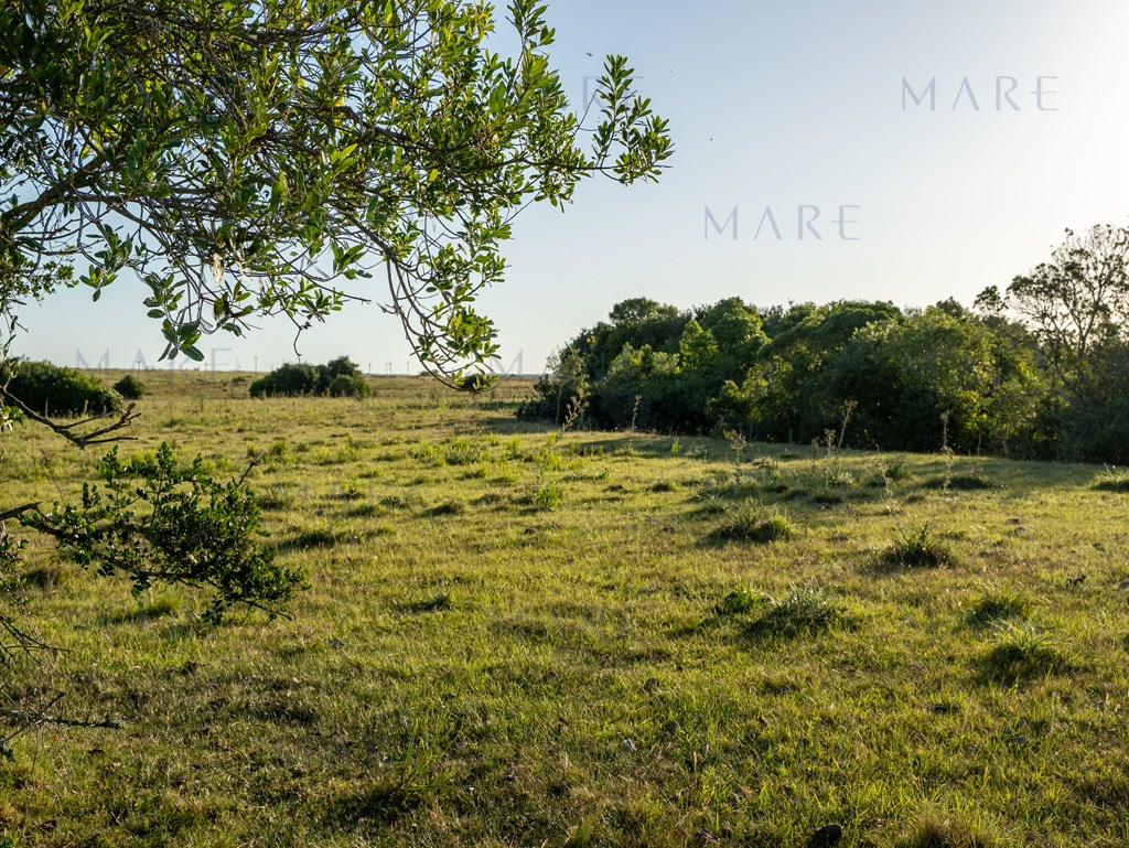Farm with stream and open view, minutes from Pueblo Garzón - Photo 16