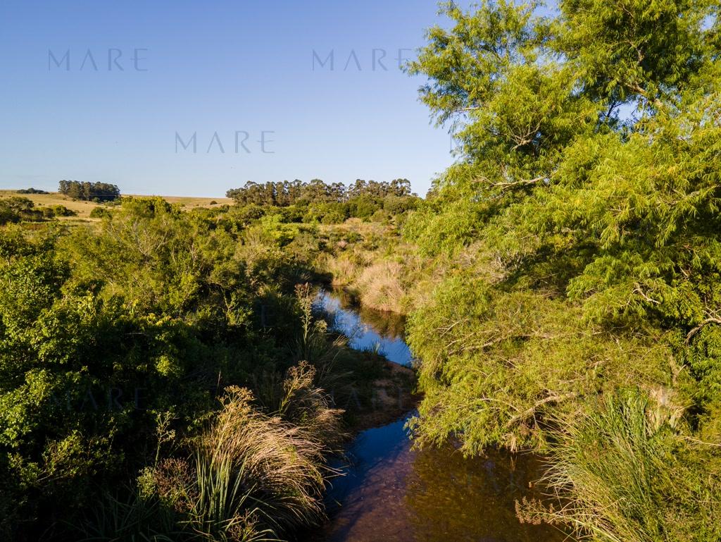 Farm with stream and open view, minutes from Pueblo Garzón - Photo 12