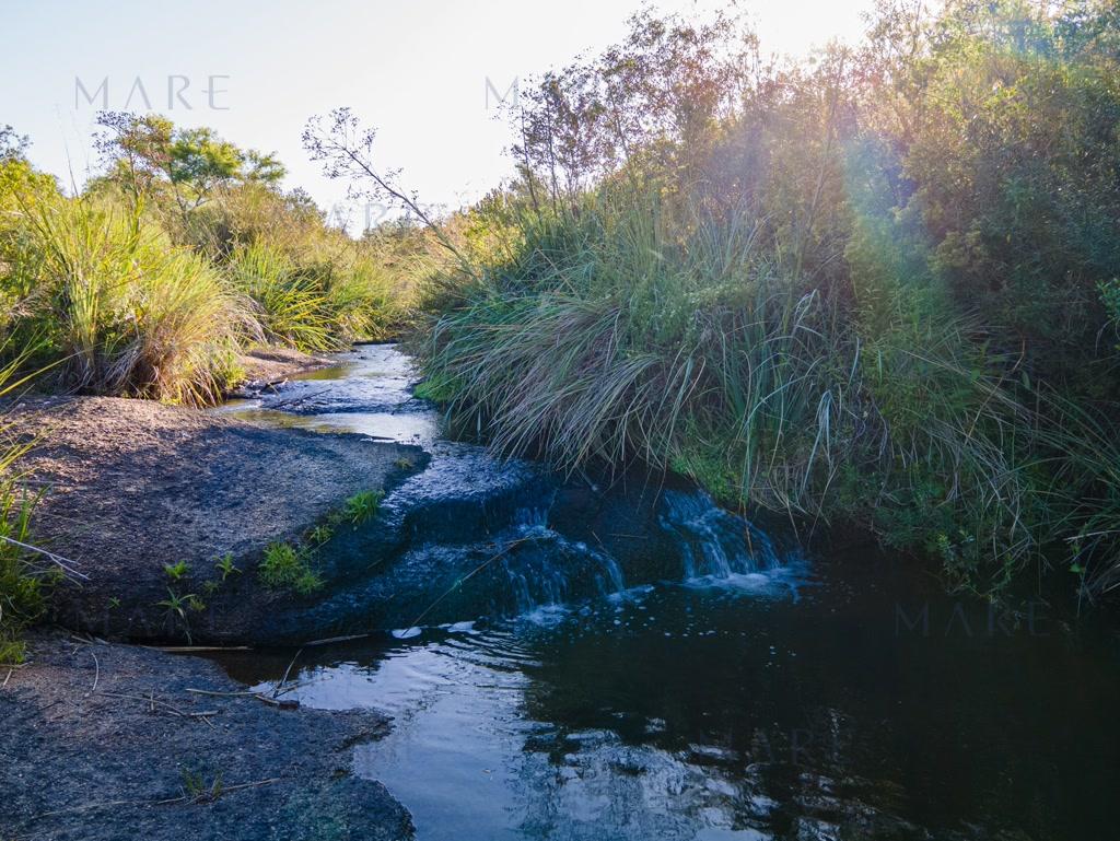 Farm with stream and open view, minutes from Pueblo Garzón - Photo 9