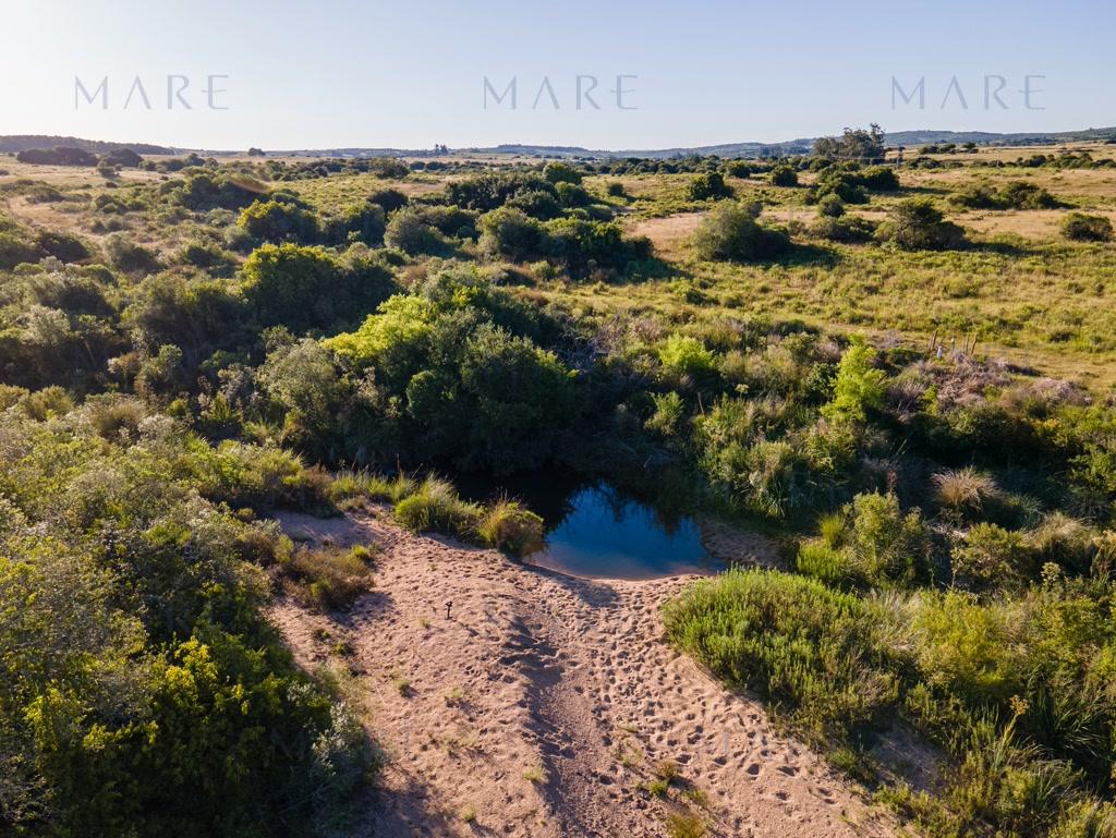 Farm with stream and open view, minutes from Pueblo Garzón - Photo 6