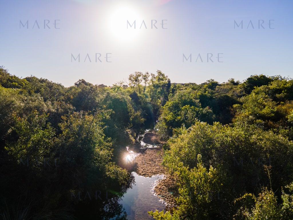 Farm with stream and open view, minutes from Pueblo Garzón - Photo 13