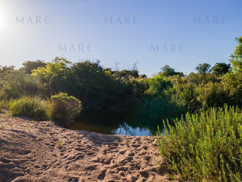 Farm with stream and open view, minutes from Pueblo Garzón - Photo 11