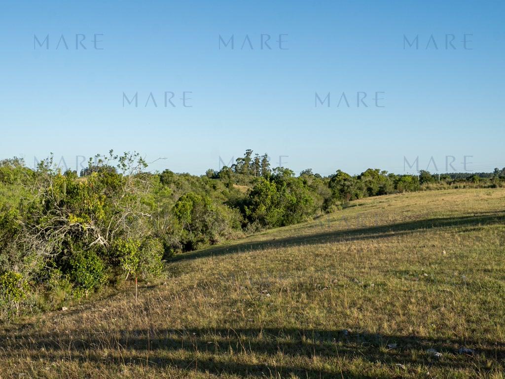 Farm with stream and open view, minutes from Pueblo Garzón - Photo 15