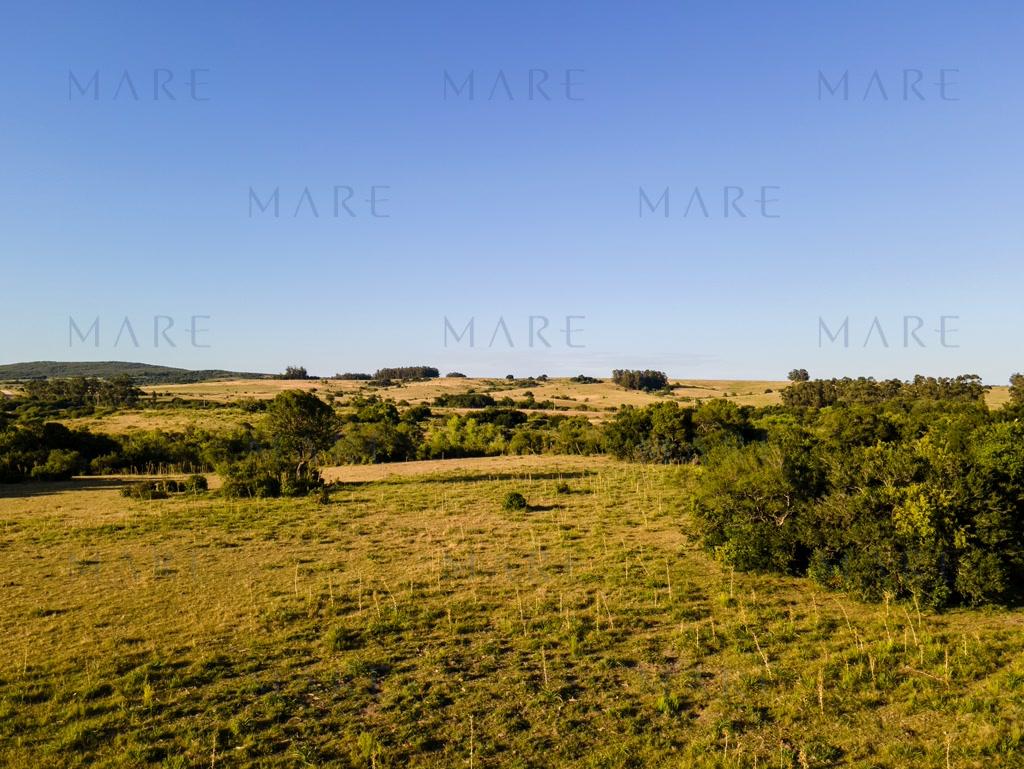 Farm with stream and open view, minutes from Pueblo Garzón - Photo 4