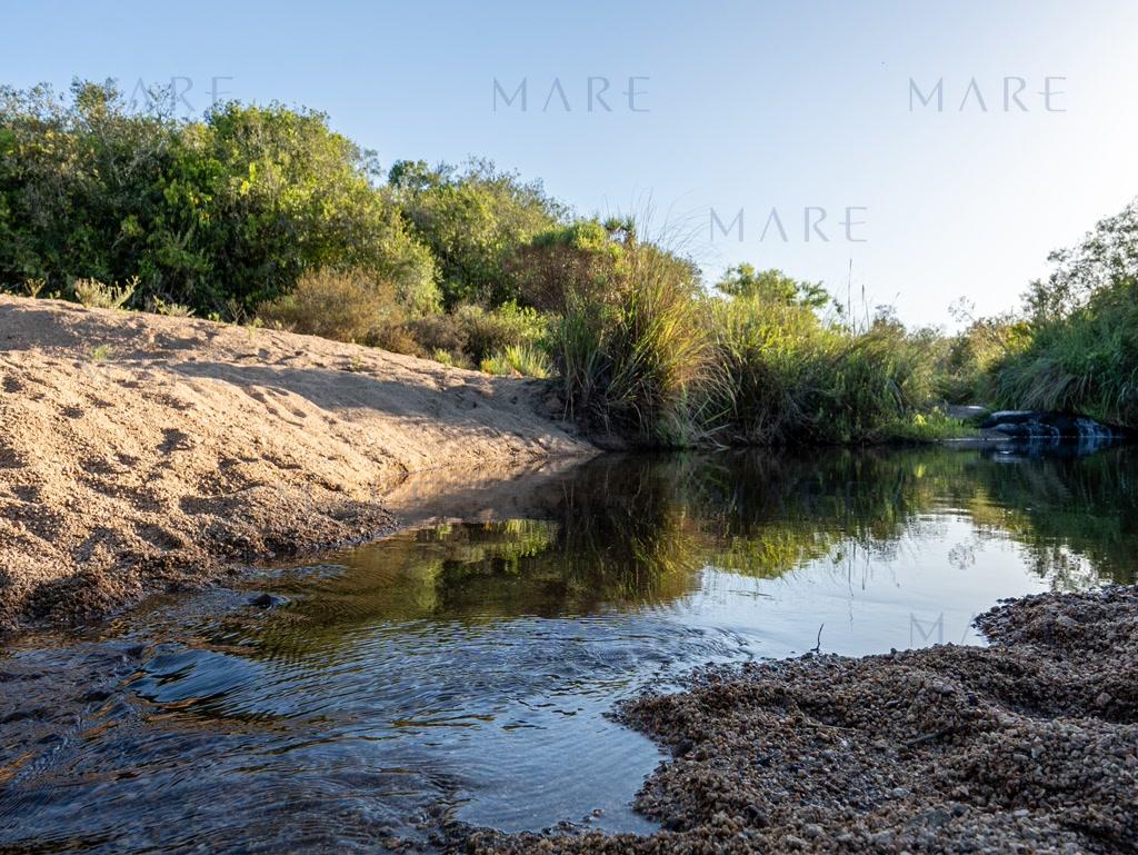 Farm with stream and open view, minutes from Pueblo Garzón - Photo 7