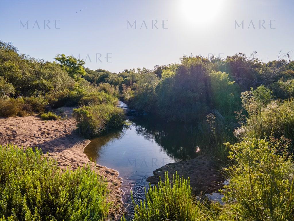 Farm with stream and open view, minutes from Pueblo Garzón - Photo 5