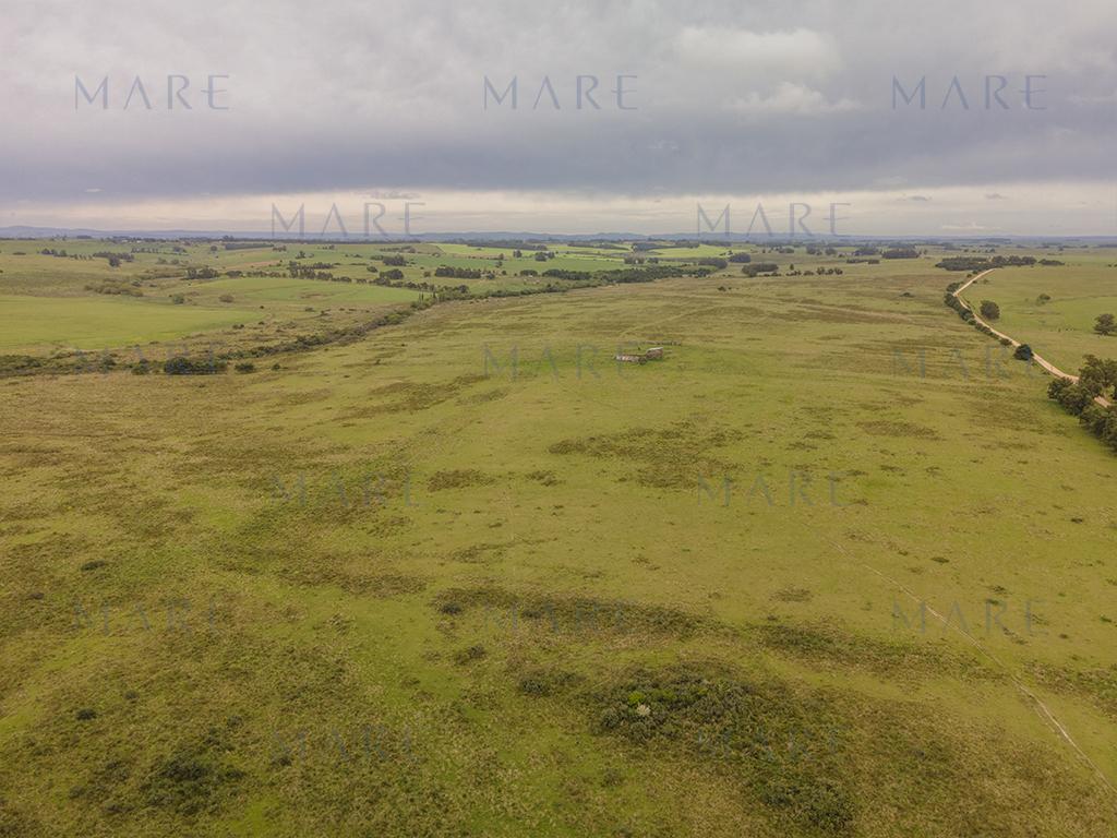 Campo elevado de 101 hectáreas próximo a José Ignacio - Foto 4