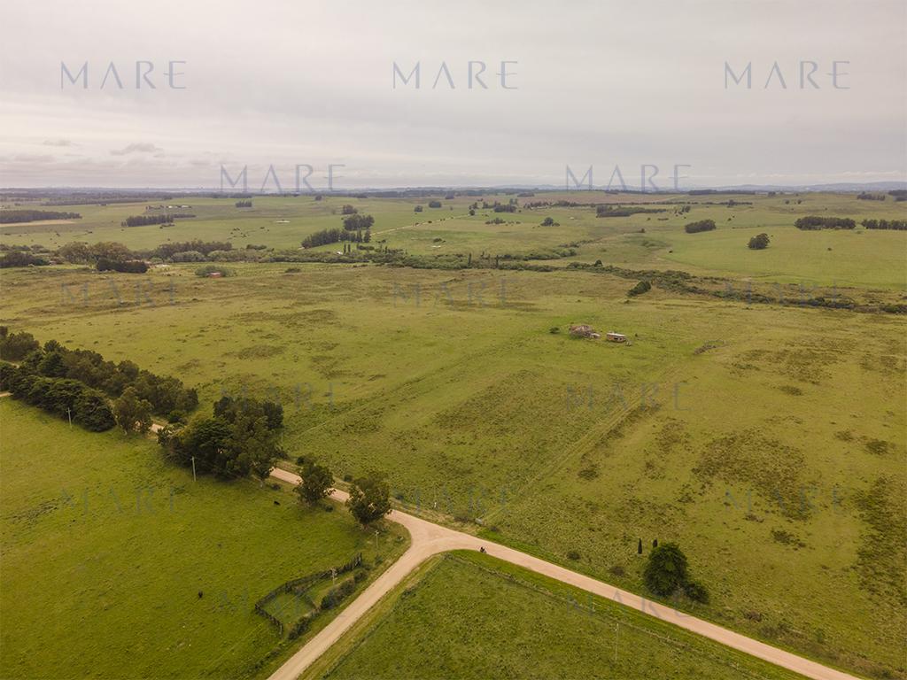 Campo elevado de 101 hectáreas próximo a José Ignacio