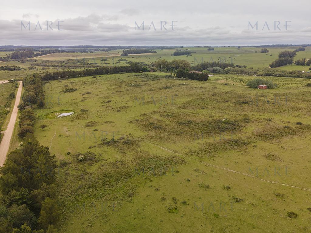 Campo elevado de 101 hectáreas próximo a José Ignacio - Foto 3