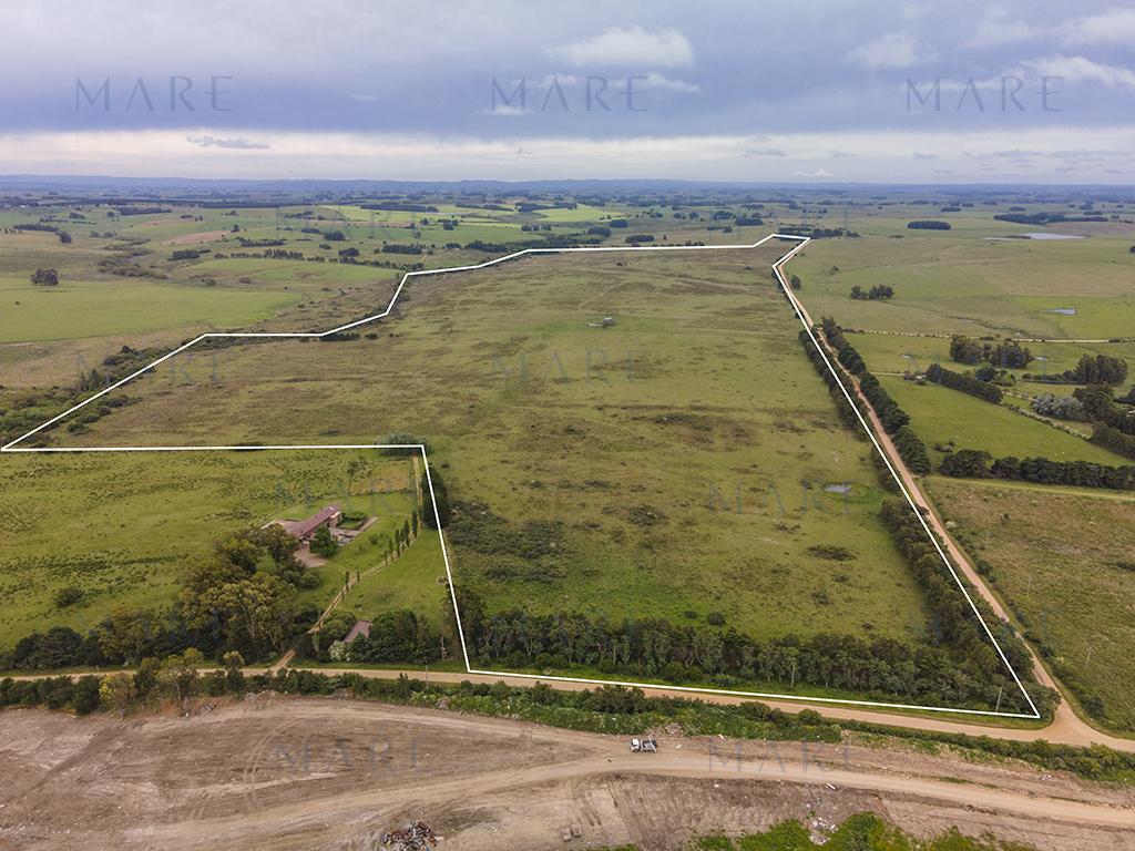 Campo elevado de 101 hectáreas próximo a José Ignacio - Foto 6