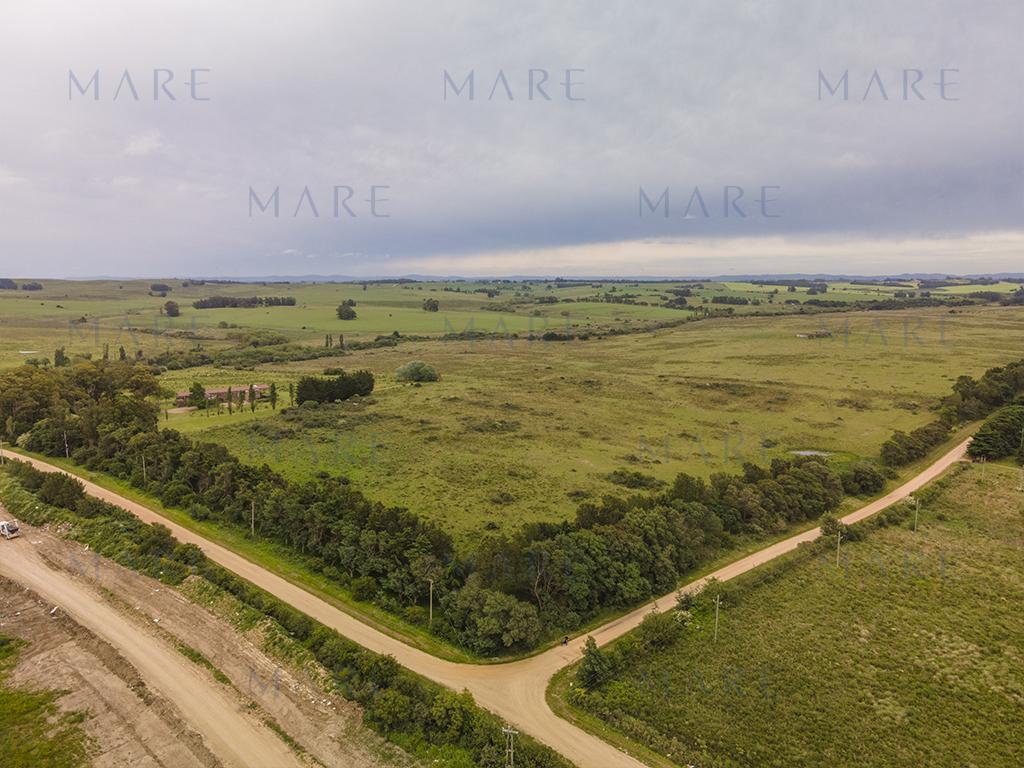 Campo elevado de 101 hectáreas próximo a José Ignacio - Foto 2