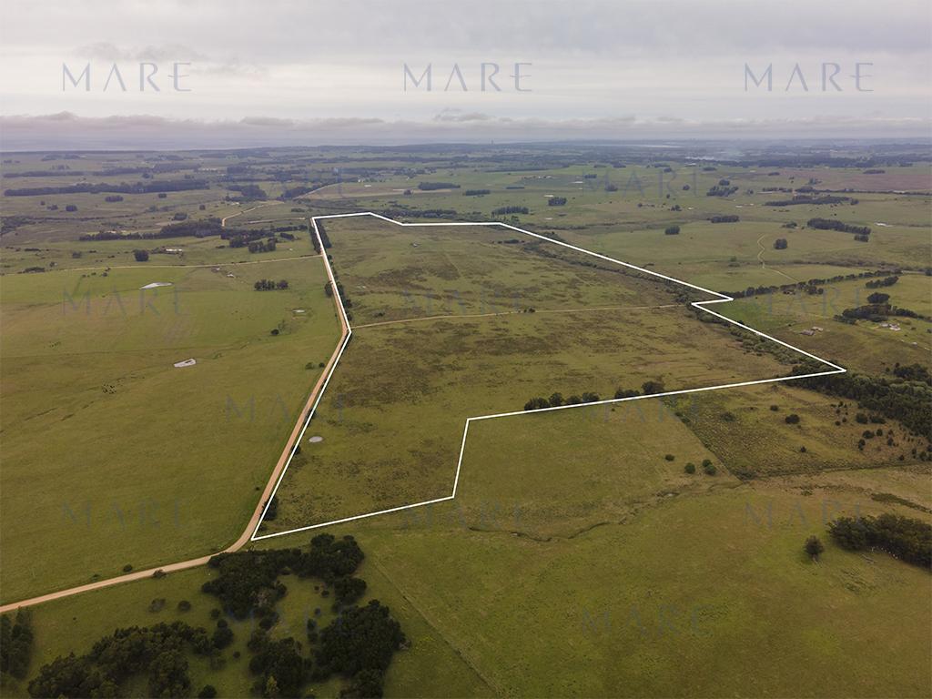 Campo elevado de 101 hectáreas próximo a José Ignacio - Foto 8