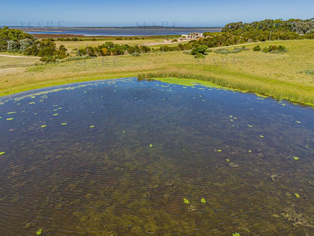 Farm in a privileged setting next to Laguna Garzón - Photo 6